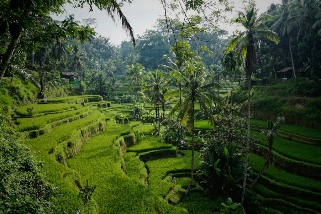 Bali en famille